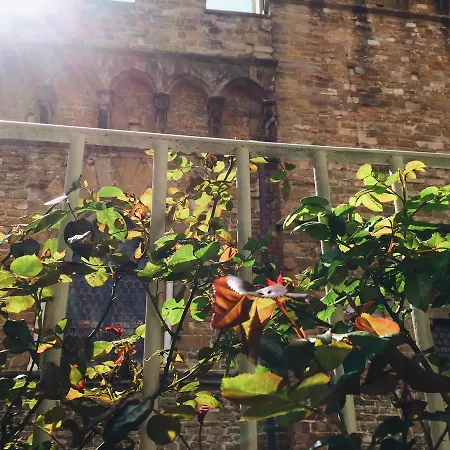 La Volognana * Firenze