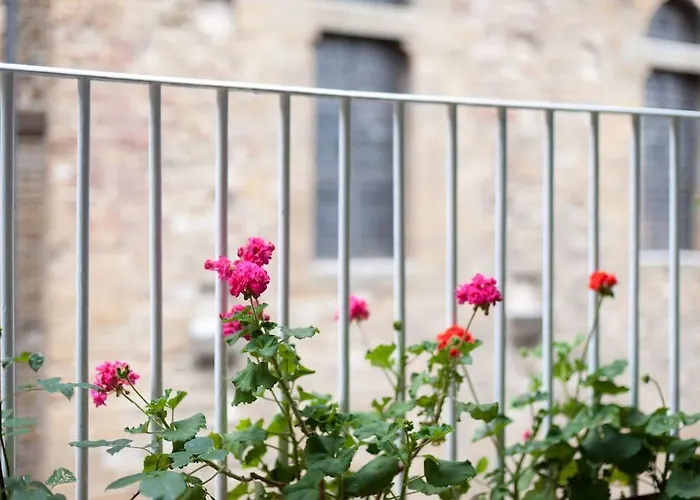 La Volognana *
